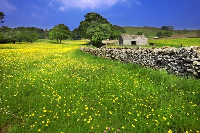 The Stables Settle Exterior foto